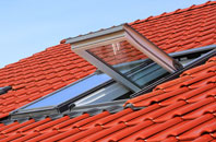 Gorefield roof window